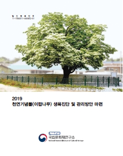 2019 천연기념물(이팝나무) 생육진단 및 관리방안 마련